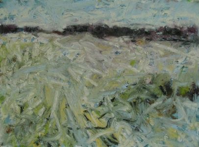 Early Spring 22 in x 30 in oil/Arches huile 2015