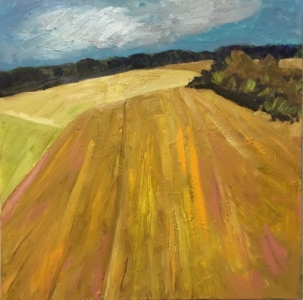 Fields  30x30” oil/canvas 2017